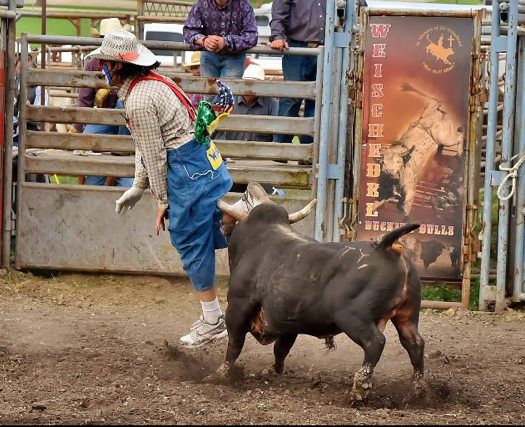 Franklin Rodeo clown to make crowd laugh
